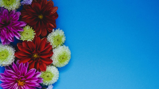 及心理素質 及心理素質