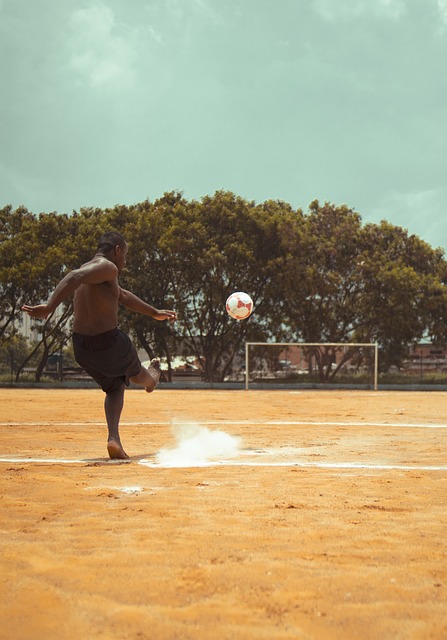 专业教练的 专业教练的