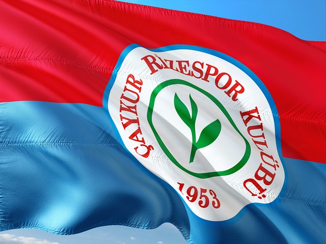 哈兰德逐渐 哈兰德逐渐