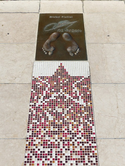 的协同作战 的协同作战