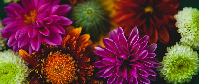 A的第一步 A的第一步